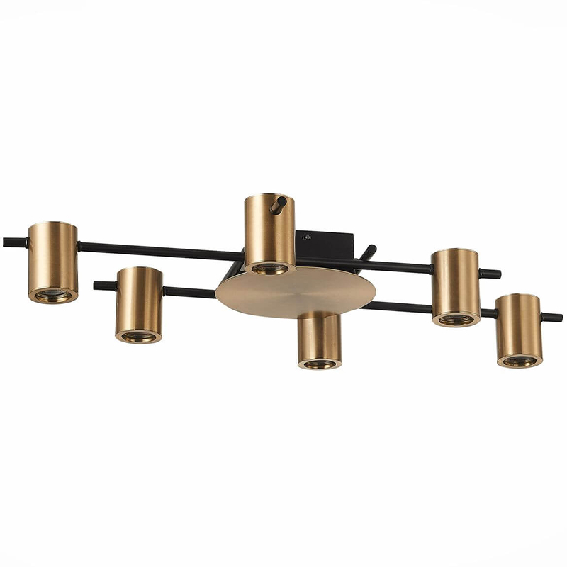 Потолочный светильник Aigle Ceiling Light 6 Черный Латунь Потолочный светильник Aigle Ceiling Light 6 Черный Латунь в Орле | Loft Concept