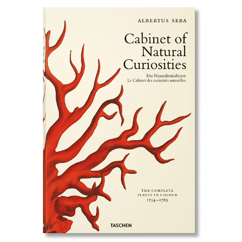Seba. Cabinet of Natural Curiosities  в Орле | Loft Concept 