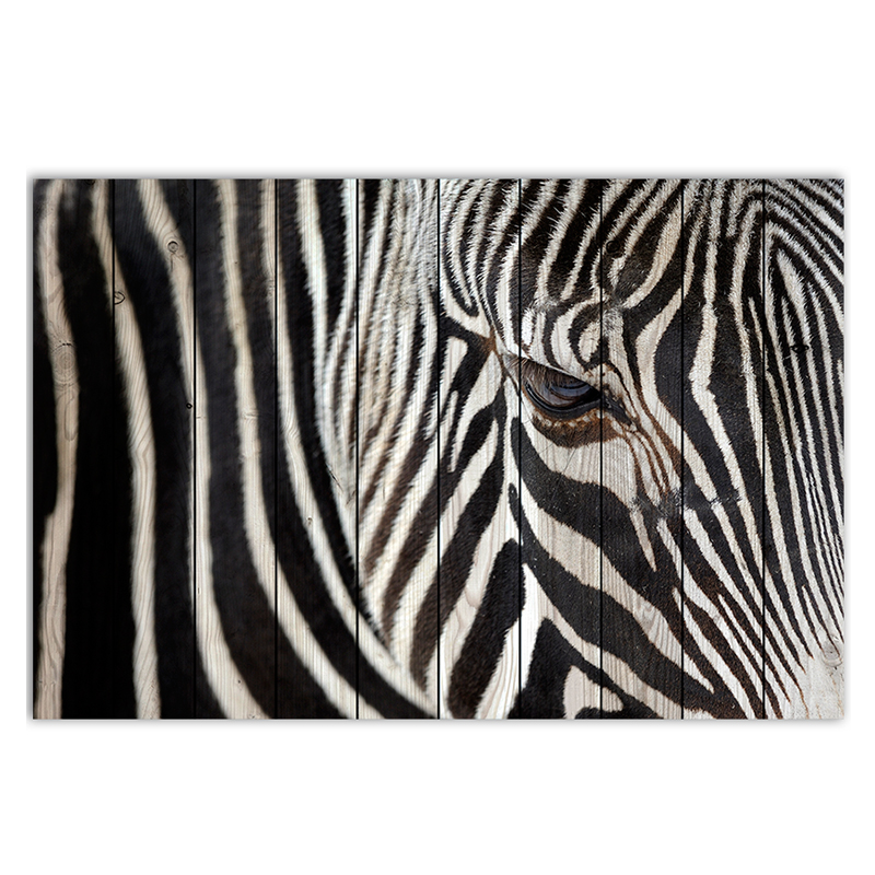 Постер Zebra Постер Zebra в Орле | Loft Concept