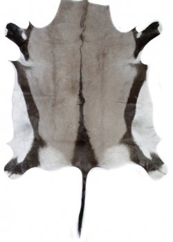 Натуральная шкура антилопы Gemsbok Черный Натуральная шкура антилопы Gemsbok Черный в Орле | Loft Concept