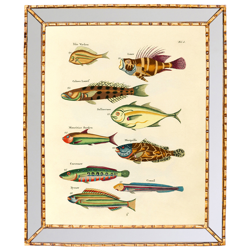 Постер в зеркальной раме Fish Guide 2 Мульти Золотой Постер в зеркальной раме Fish Guide 2 Мульти Золотой в Орле | Loft Concept