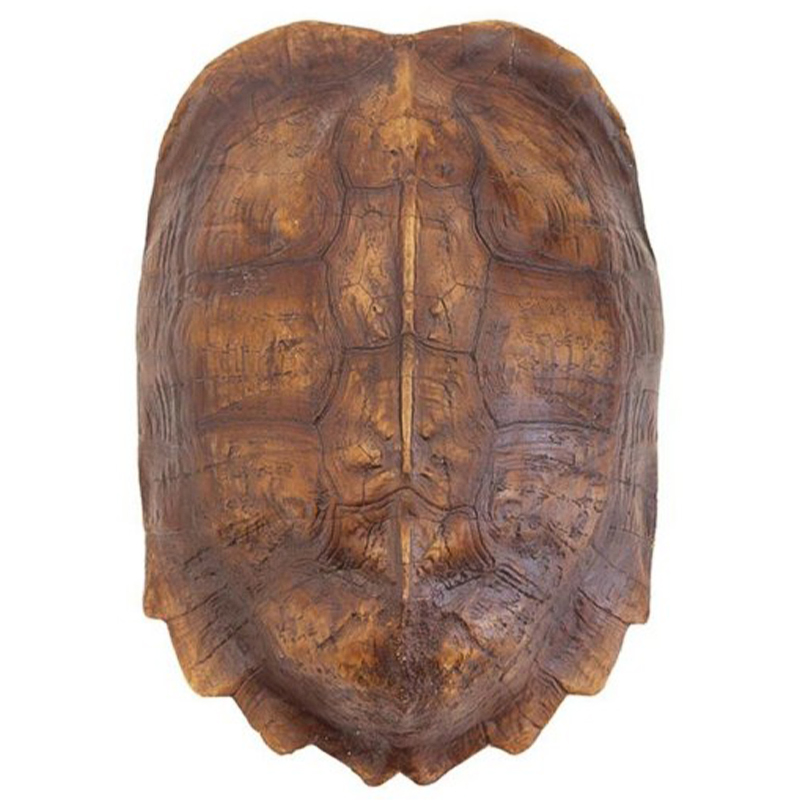 Аксессуар Turtle Shell Natural Light Brown Коричневый Аксессуар Turtle Shell Natural Light Brown Коричневый в Орле | Loft Concept