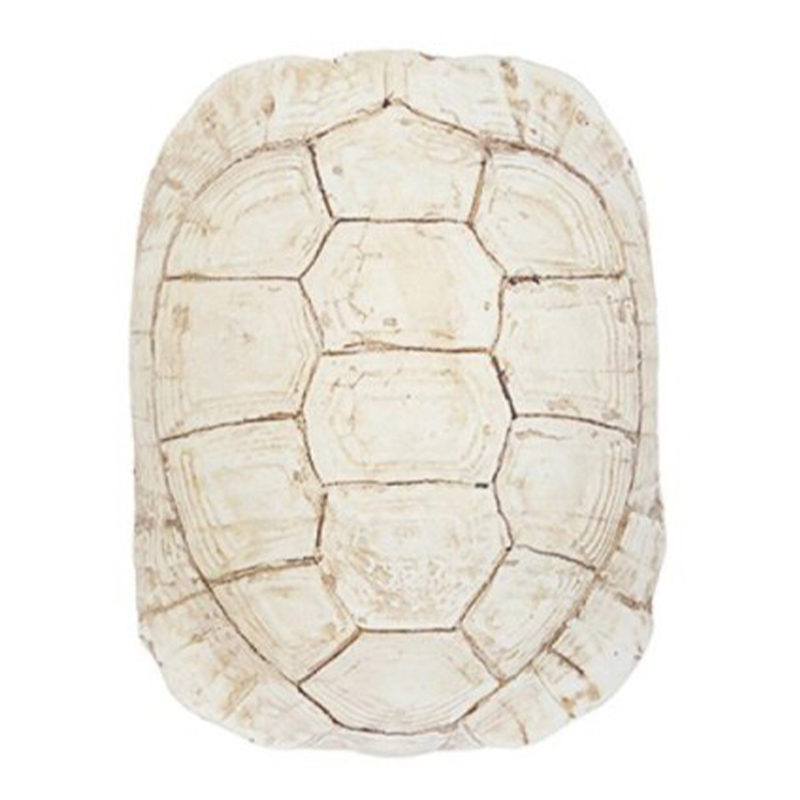 Аксессуар Turtle Shell White Бежевый Аксессуар Turtle Shell White Бежевый в Орле | Loft Concept