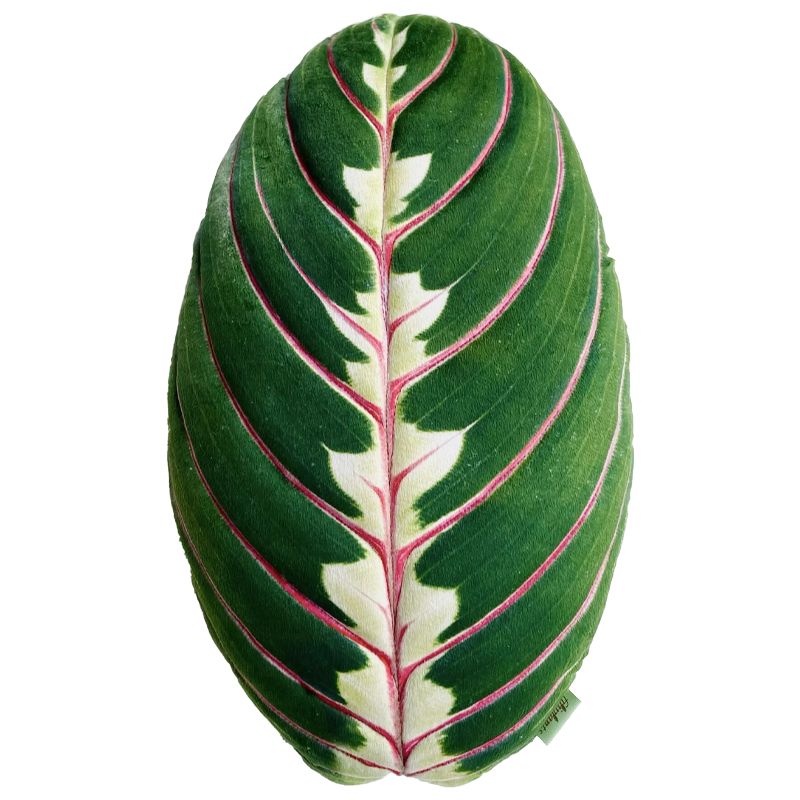 Декоративная подушка Botanical Cushion Maranta Trikolor Зеленый Бургундский красный Декоративная подушка Botanical Cushion Maranta Trikolor Зеленый Бургундский красный в Орле | Loft Concept