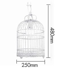 Подвесной светильник Bird Cage Подвесной светильник Bird Cage в Орле