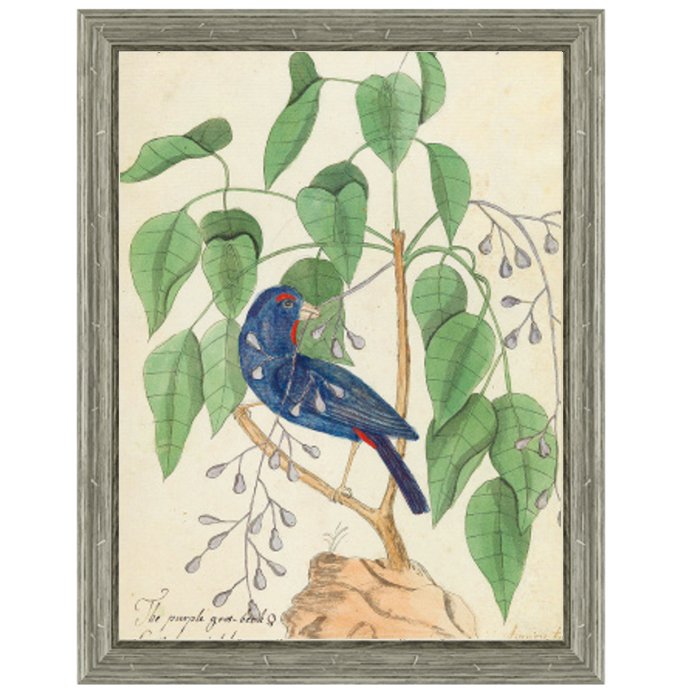 Постер Blue Bird In Foliage Постер Blue Bird In Foliage в Орле | Loft Concept