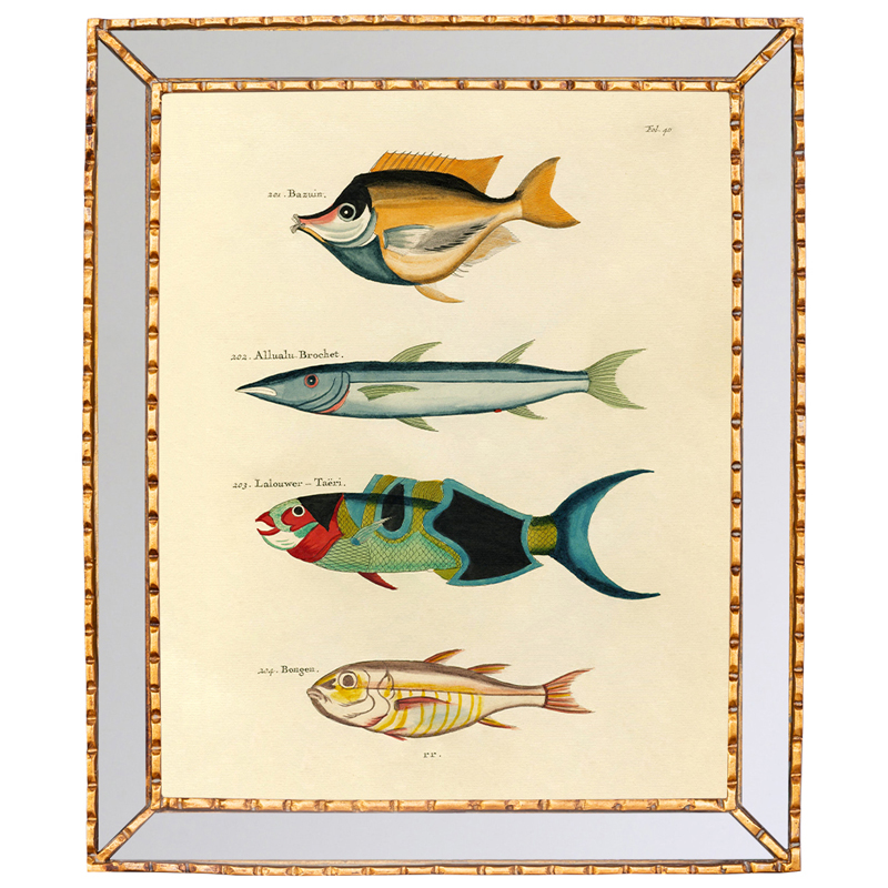 Постер в зеркальной раме Fish Guide 3 Мульти Золотой в Орле | Loft Concept 