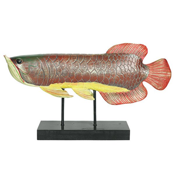 Аксессуар для интерьера рыба Colored Fish Аксессуар для интерьера рыба Colored Fish в Орле | Loft Concept