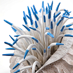 Статуэтка тропический фрукт Tropical Fruit White Blue варинант исполнения - 1 | Loft Concept в Орле