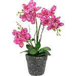 Декоративный искусственное растение Pink orchid варинант исполнения - 1 | Loft Concept в Орле