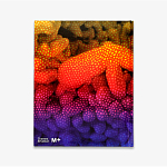 Редкое подарочное издание Yayoi Kusama: 1945 to Now варинант исполнения - 3 | Loft Concept в Орле