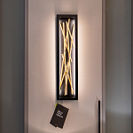 Бра в прямоугольной черной рамке с декором в виде ветвей в золотой отделке Hinkley варинант исполнения - 7 | Loft Concept в Орле