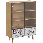 Витрина с изображением на дверцах Elise Cupboard варинант исполнения - 6 | Loft Concept в Орле