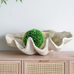 Блюдо декоративное в виде ракушки Seashell варинант исполнения - 3 | Loft Concept в Орле