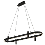 Люстра подвесная овальная черная  Black Light Fixtures варинант исполнения - 1 | Loft Concept в Орле