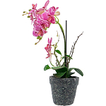 Декоративный искусственное растение Pink orchid варинант исполнения - 4 | Loft Concept в Орле