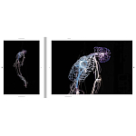 Монография художника Tavares Strachan - There is Light Somewhere варинант исполнения - 6 | Loft Concept в Орле