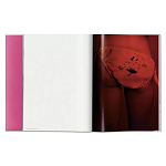 Книга Gisele Bundchen варинант исполнения - 7 | Loft Concept в Орле