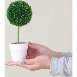 Декоративный искусственное растение Boxwood One варинант исполнения - 6 | Loft Concept в Орле