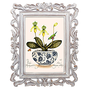 Постер Green Hummingbird Poster