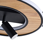 Потолочный светильник круглый GAVIN WOOD варинант исполнения - 2 | Loft Concept в Орле