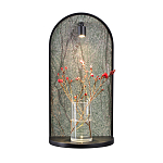 Настенный светильник зеленого цвета с черной рамкой овальной формы с полкой Herbarium  варинант исполнения - 6 | Loft Concept в Орле