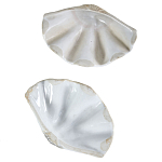 Фигурка из фарфора в виде одной створки ракушки Marine Tridacna варинант исполнения - 3 | Loft Concept в Орле