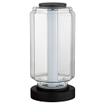 Настольная лампа с прозрачным плафоном Jarrty варинант исполнения - 1 | Loft Concept в Орле