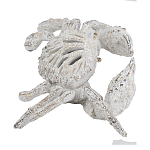 Статуэтка краб с детализированной текстурой в белом цвете Marine Accessories варинант исполнения - 4 | Loft Concept в Орле