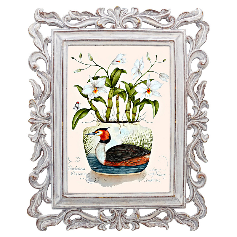 Постер Tropical Orchid Poster Мульти Белый винтажная патина   в Орле | Loft Concept 