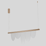 Люстра подвесная с пятью прозрачными элементами в форме лепестков и золотистым металлическим основанием DALI Tonin Casa варинант исполнения - 2 | Loft Concept в Орле