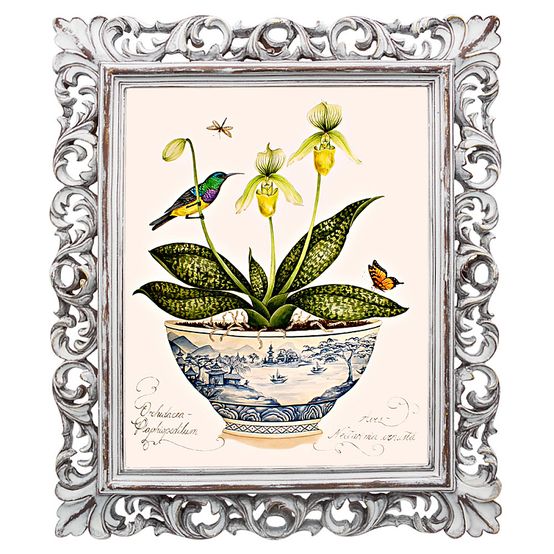 Постер Hummingbird On Flower Poster Мульти Белый винтажная патина Постер Hummingbird On Flower Poster Мульти Белый винтажная патина в Орле | Loft Concept