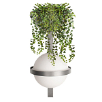 Бра Benedict Dark grey варинант исполнения - 1 | Loft Concept в Орле