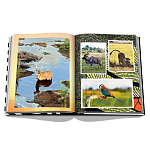 Подарочнный коллекционный фото альбом AFRICAN ADVENTURES NEW 2023 ASSOULINE HC UNBELIEVABLE ILLUSTRATIONS Safari варинант исполнения - 7 | Loft Concept в Орле