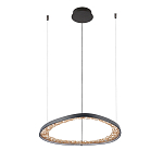 Люстра светодиодная  Iris варинант исполнения - 2 | Loft Concept в Орле