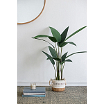 Декоративный искусственное растение Decor Stile  варинант исполнения - 7 | Loft Concept в Орле