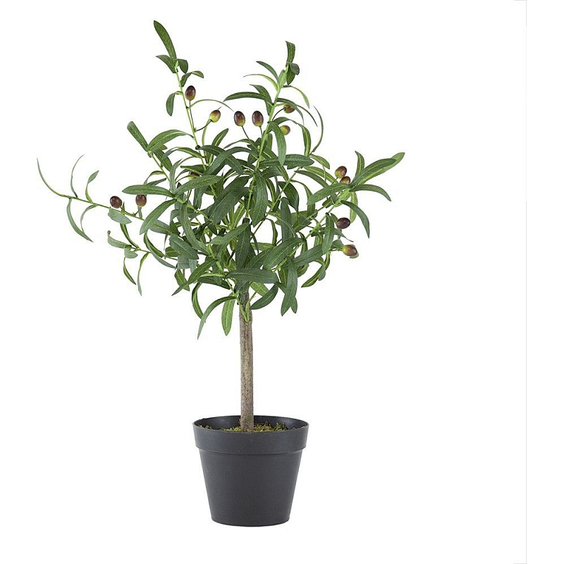 Декоративный искусственное растение Olive tree with fruits Зеленый Черный Коричневый Декоративный искусственное растение Olive tree with fruits Зеленый Черный Коричневый в Орле | Loft Concept