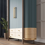 Шкаф «Гавайи» варинант исполнения - 2 | Loft Concept в Орле