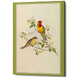 Постер на холсте с изображением птиц Blooming Birds Poster варинант исполнения - 12 | Loft Concept в Орле