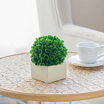 Декоративный искусственное растение Square boxwood варинант исполнения - 6 | Loft Concept в Орле