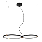Люстра подвесная светодиодная черный металл Ring Horizontal варинант исполнения - 9 | Loft Concept в Орле