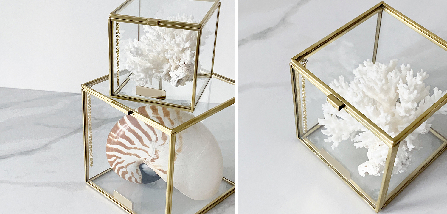 Статуэтка Natural Coral Glass Box S Статуэтка Natural Coral Glass Box S - Loft-Concept в Орле