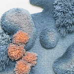 Тканый вручную Большой абстрактный гобелен Frost Forest варинант исполнения - 1 | Loft Concept в Орле