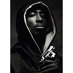 Подарочная книга величайший фотограф Альберт Уотсон The Vienna album Albert Watson варинант исполнения - 2 | Loft Concept в Орле