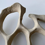 Блюдо «Бежевый коралл» варинант исполнения - 3 | Loft Concept в Орле