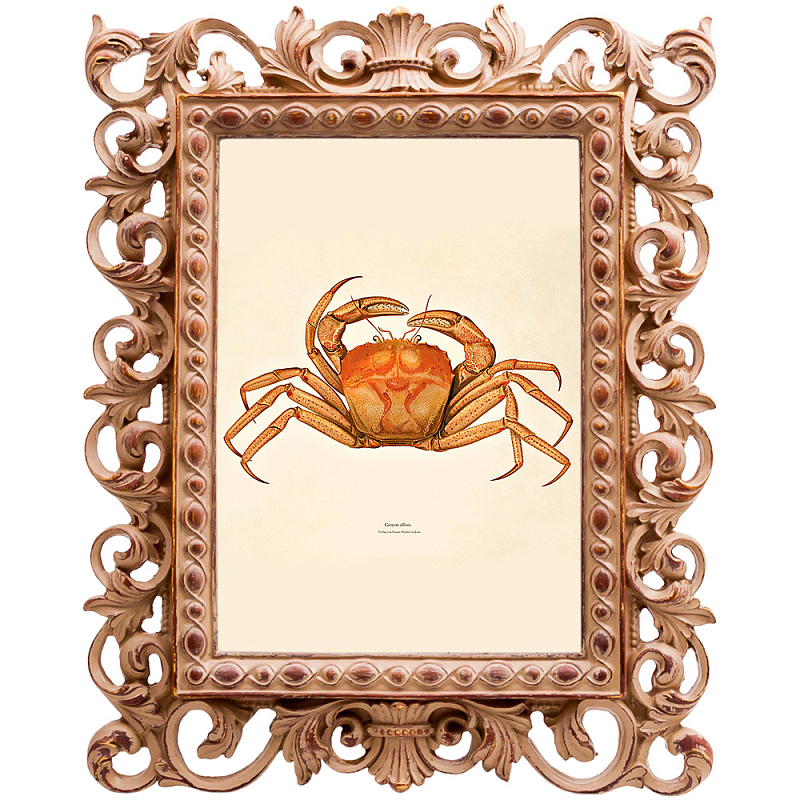 Постер Ocher Crab Poster Бежевый Оранжевый Постер Ocher Crab Poster Бежевый Оранжевый в Орле | Loft Concept