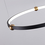 Люстра подвесная светодиодная черный металл Ring Horizontal варинант исполнения - 10 | Loft Concept в Орле