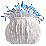 Статуэтка тропический фрукт Tropical Fruit White Blue варинант исполнения - 3 | Loft Concept в Орле