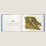 Лимитированная подарочная книга HERMES Fierce and Fragile book, English version варинант исполнения - 3 | Loft Concept в Орле