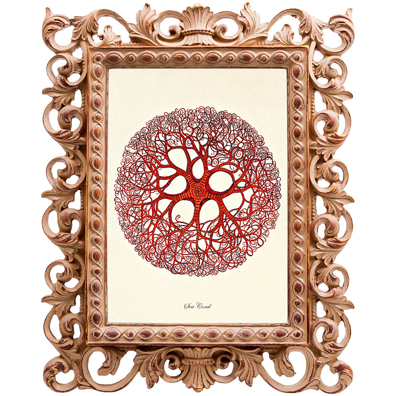 Постер Red Coral Poster 6 Бежевый Красный Постер Red Coral Poster 6 Бежевый Красный в Орле | Loft Concept